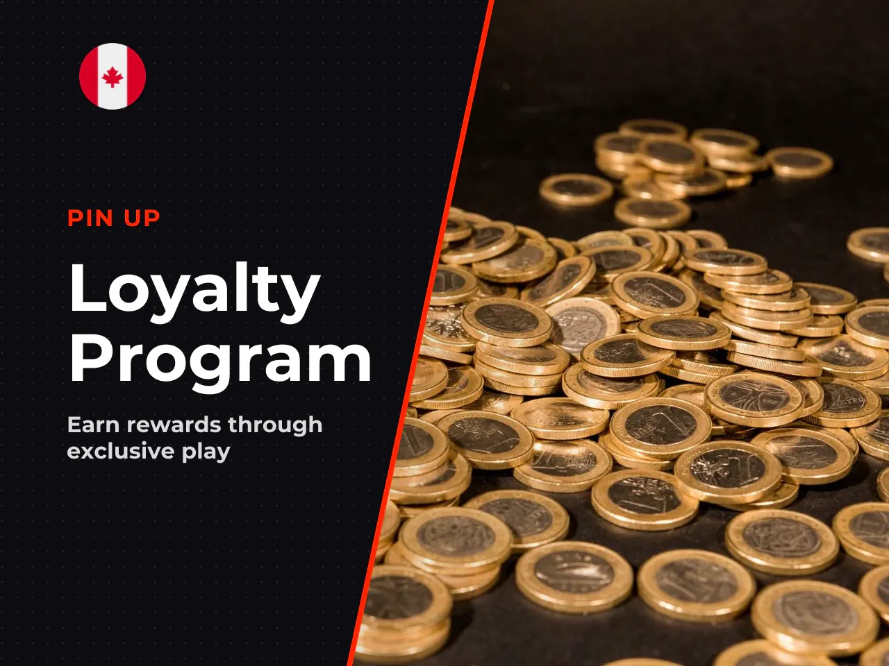 Loyalty Programme How Pincoins Work. Pin