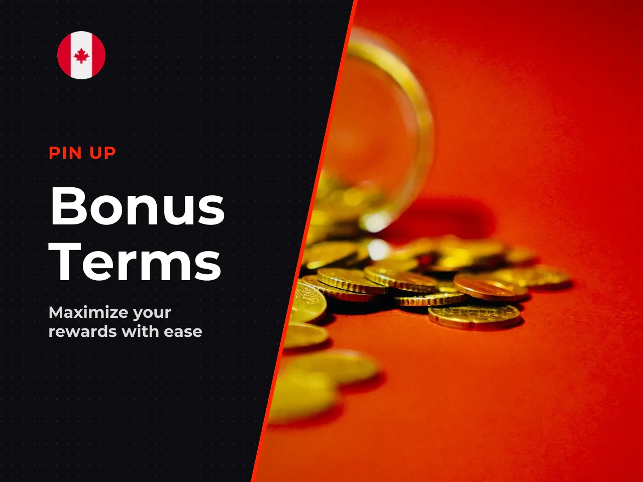 Bonus Terms Read the Fine Print